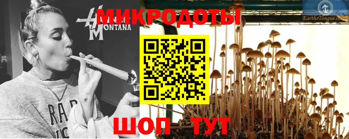 Псилоцибиновые грибы GOLDEN TEACHER Верхний Уфалей