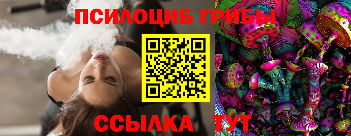 Верхний Уфалей  Псилоцибиновые грибы Psilocybine cubensis  Вход с VPN 